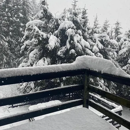 샬레 Chalet Panoramic Mont-blanc 샤모니